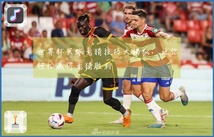世界杯买球竞猜技巧大揭秘，让你轻松赢得竞猜胜利