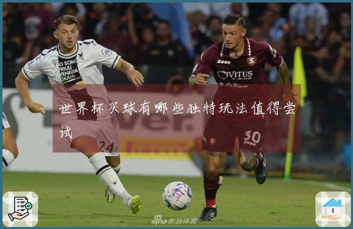世界杯买球有哪些独特玩法值得尝试
