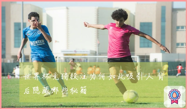 世界杯竞猜投注为何如此吸引人 背后隐藏哪些秘籍