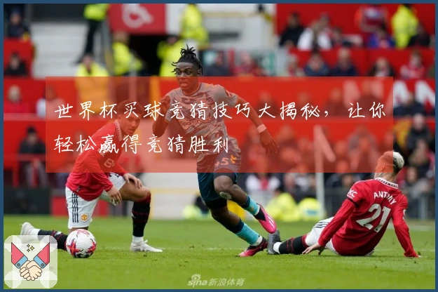 世界杯买球竞猜技巧大揭秘，让你轻松赢得竞猜胜利