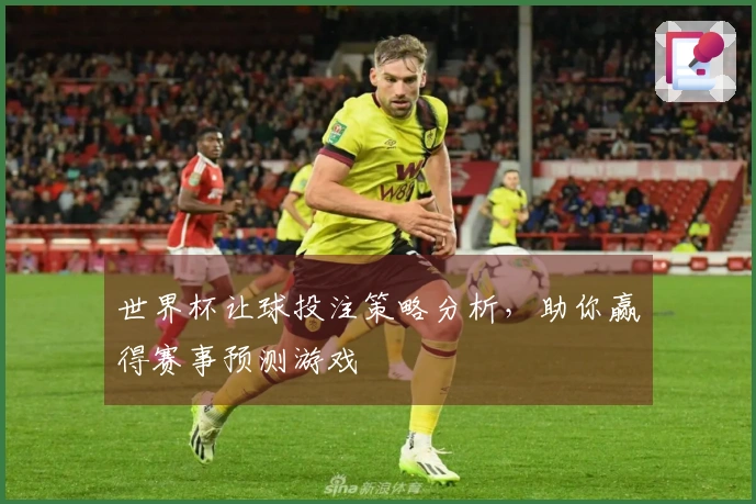 世界杯让球投注策略分析，助你赢得赛事预测游戏
