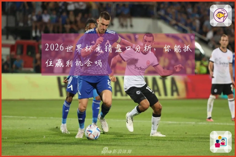 2026世界杯竞猜盘口分析，你能抓住赢利机会吗