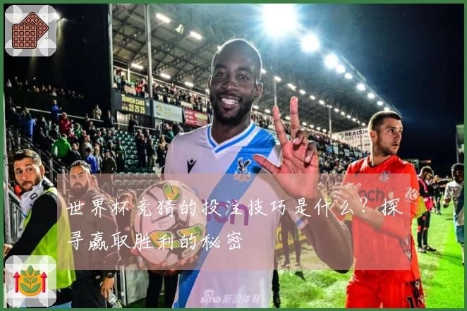 世界杯竞猜的投注技巧是什么？探寻赢取胜利的秘密
