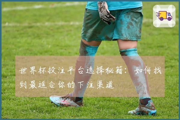 世界杯投注平台选择秘籍：如何找到最适合你的下注渠道