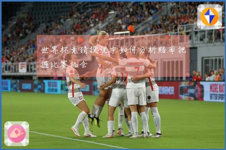 世界杯竞猜投注中如何分析赔率把握比赛机会