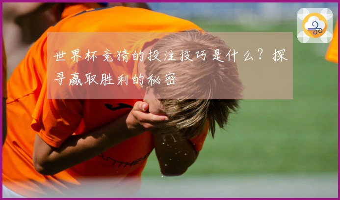 世界杯竞猜的投注技巧是什么？探寻赢取胜利的秘密