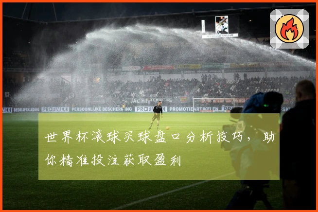 世界杯滚球买球盘口分析技巧，助你精准投注获取盈利