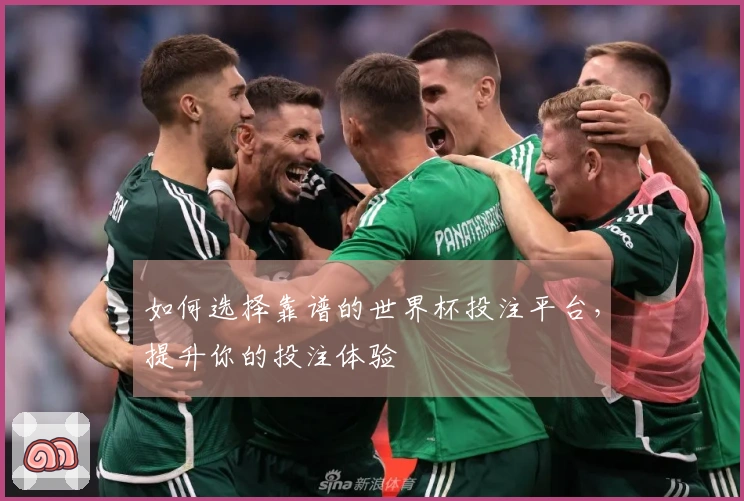 如何选择靠谱的世界杯投注平台，提升你的投注体验