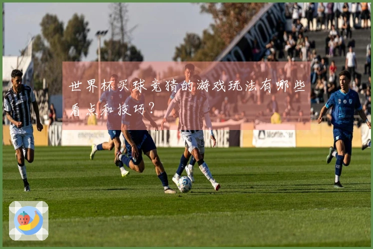 世界杯买球竞猜的游戏玩法有哪些看点和技巧？